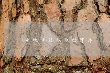 余姚市股权激励律师