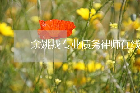 余姚找专业债务律师在线咨询
