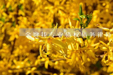 余姚找专业债权债务律师在线咨询 余姚找专业债权债务律师在线咨询