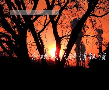 余姚找代理债权债务律师委托流程 余姚找代理债权债务律师委托流程