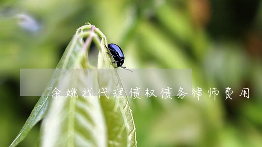余姚找代理债权债务律师费用 余姚找代理债权债务律师费用
