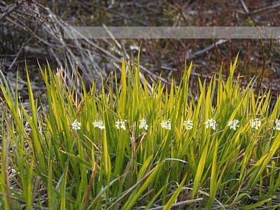 余姚找离婚咨询律师怎么委托 余姚找离婚咨询律师怎么委托