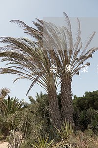 余姚梁弄镇法律顾问 余姚梁弄镇法律顾问