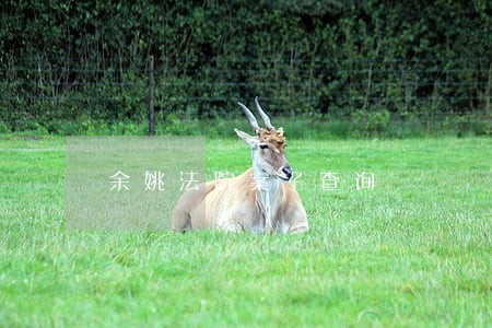 余姚法院案子查询 余姚法院案子查询