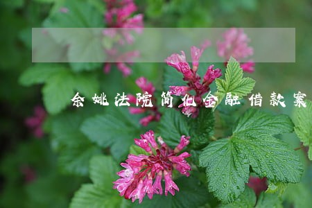 余姚法院简化金融借款案起诉书 余姚法院简化金融借款案起诉书