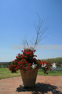 余姚离婚纠纷律师委托流程 余姚离婚纠纷律师委托流程