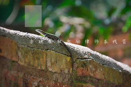 余姚股权激励律师在线咨询 余姚股权激励律师在线咨询