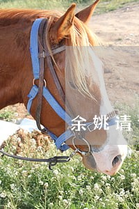 余姚请专业的债权债务律师费用 余姚请专业的债权债务律师费用