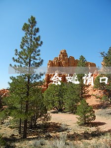 余姚请口碑好的离婚房产律师 余姚请口碑好的离婚房产律师