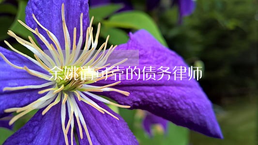 余姚请可靠的债务律师 余姚请可靠的债务律师