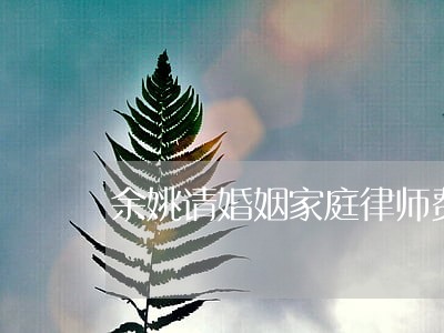 余姚请婚姻家庭律师费用多少