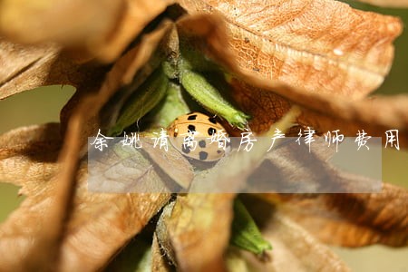 余姚请离婚房产律师费用标准 余姚请离婚房产律师费用标准