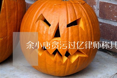 余小唐贪污过亿律师称其有功无过 余小唐贪污过亿律师称其有功无过