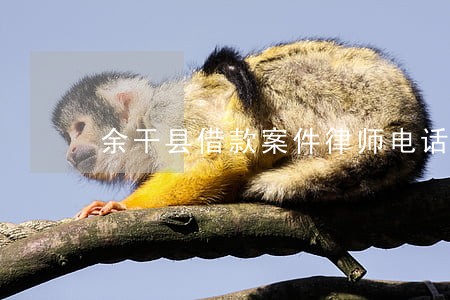 余干县借款案件律师电话 余干县借款案件律师电话