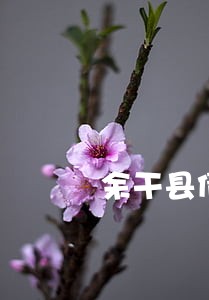 余干县债务重组律师 余干县债务重组律师