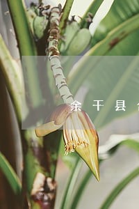 余干县合同纠纷免费法律咨询 余干县合同纠纷免费法律咨询