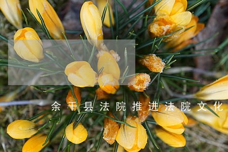 余干县法院推进法院文化建设 余干县法院推进法院文化建设
