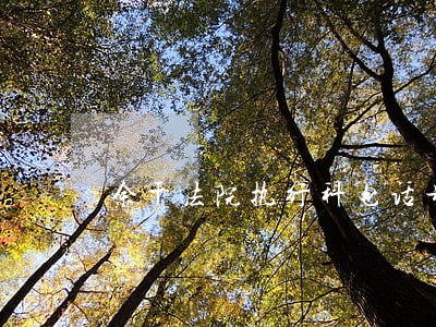 余干法院执行科电话号码
