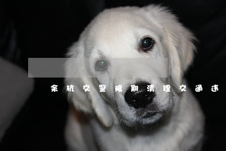 余杭交警限期清理交通违法案件 余杭交警限期清理交通违法案件