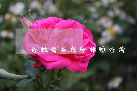余杭债务纠纷律师咨询 余杭债务纠纷律师咨询