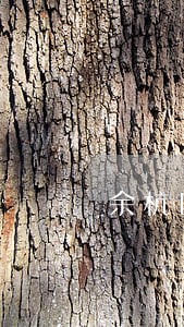 余杭区交通事故索赔律师电话号码 余杭区交通事故索赔律师电话号码