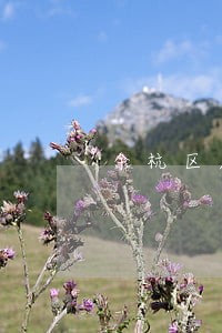 余杭区厉害的遗嘱纠纷律师律所 余杭区厉害的遗嘱纠纷律师律所