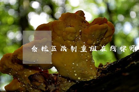 余杭区改制重组在线律师咨询 余杭区改制重组在线律师咨询
