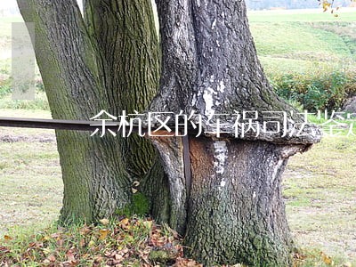 余杭区的车祸司法鉴定在哪 余杭区的车祸司法鉴定在哪