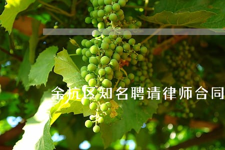 余杭区知名聘请律师合同 余杭区知名聘请律师合同