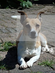 余杭区离婚财产分割律师收费标准 余杭区离婚财产分割律师收费标准
