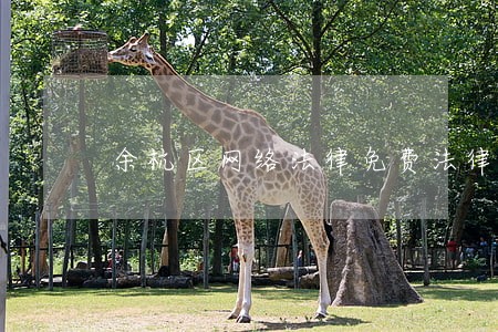余杭区网络法律免费法律咨询 余杭区网络法律免费法律咨询