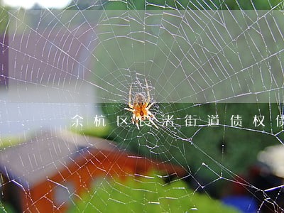 余杭区良渚街道债权债务律师 余杭区良渚街道债权债务律师
