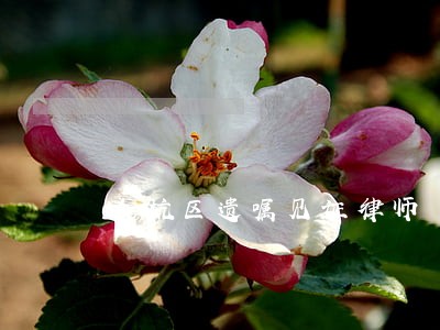 余杭区遗嘱见证律师 余杭区遗嘱见证律师