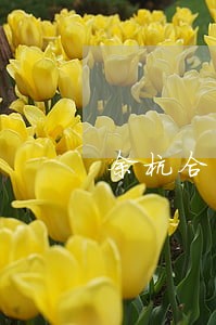 余杭合同纠纷律师网电话 余杭合同纠纷律师网电话