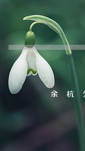 余杭欠款律师收费标准放心托付 余杭欠款律师收费标准放心托付