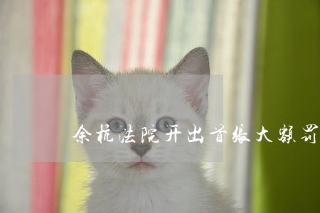 余杭法院开出首张大额罚单 余杭法院开出首张大额罚单