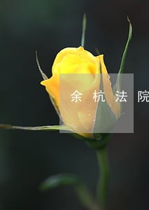 余杭法院黄灿 余杭法院黄灿