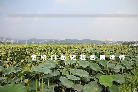 余杭门面转租合同律师 余杭门面转租合同律师