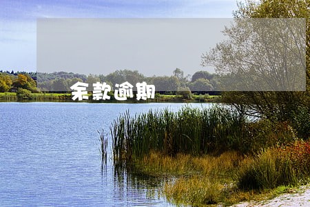 余款逾期 余款逾期