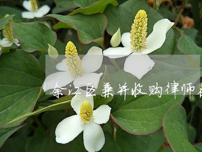 余江区兼并收购律师在线免费咨询