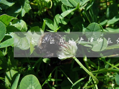 余江区房地产律师在线咨询