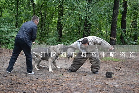 余江区海事海商律师咨询电话 余江区海事海商律师咨询电话