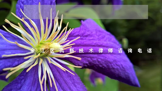 余江区高新技术律师咨询电话 余江区高新技术律师咨询电话
