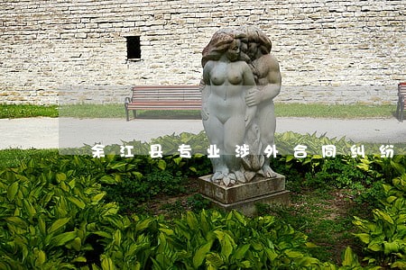 余江县专业涉外合同纠纷律师