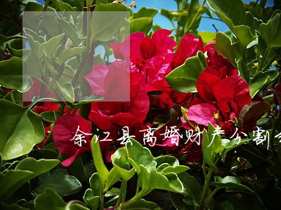 余江县离婚财产分割纠纷律师 余江县离婚财产分割纠纷律师