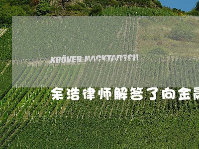 余浩律师解答了向金融公司借款 余浩律师解答了向金融公司借款