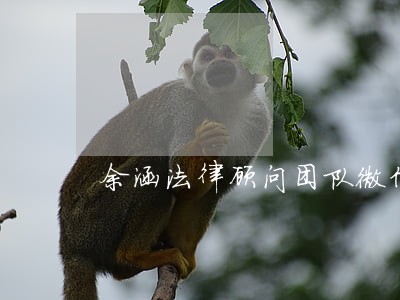 余涵法律顾问团队微信公众号 余涵法律顾问团队微信公众号
