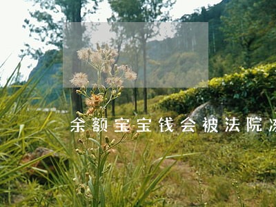 余额宝宝钱会被法院冻结吗 余额宝宝钱会被法院冻结吗