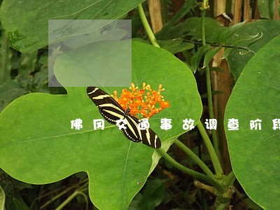 佛冈交通事故调查阶段律师 佛冈交通事故调查阶段律师