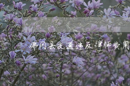佛冈县交通违反律师费用多少 佛冈县交通违反律师费用多少